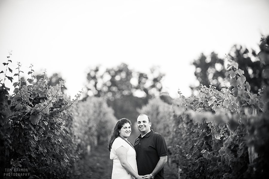 engagement pictures at lucas vineyards