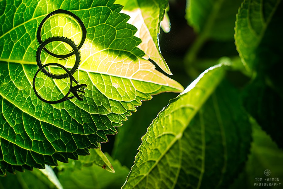 wedding rinks at links at erie village reception