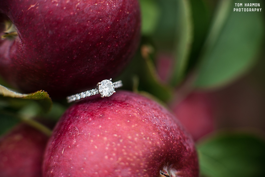 Baldwinsville_NY_Engagement_0004