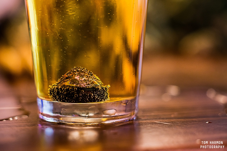 Dino_BBQ_Wedding_0038