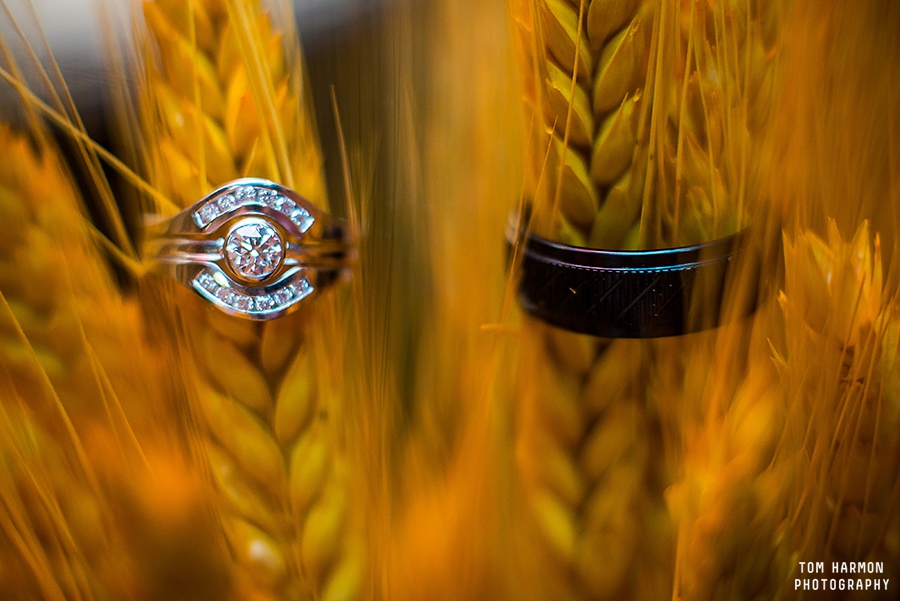 Dino_BBQ_Wedding_0039