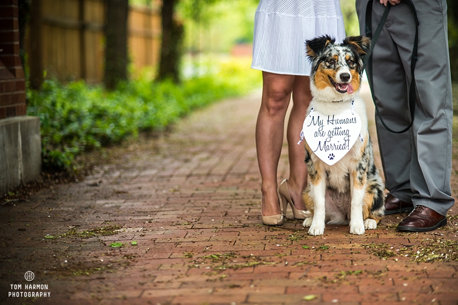 Frankiln_Square_Engagement_0009