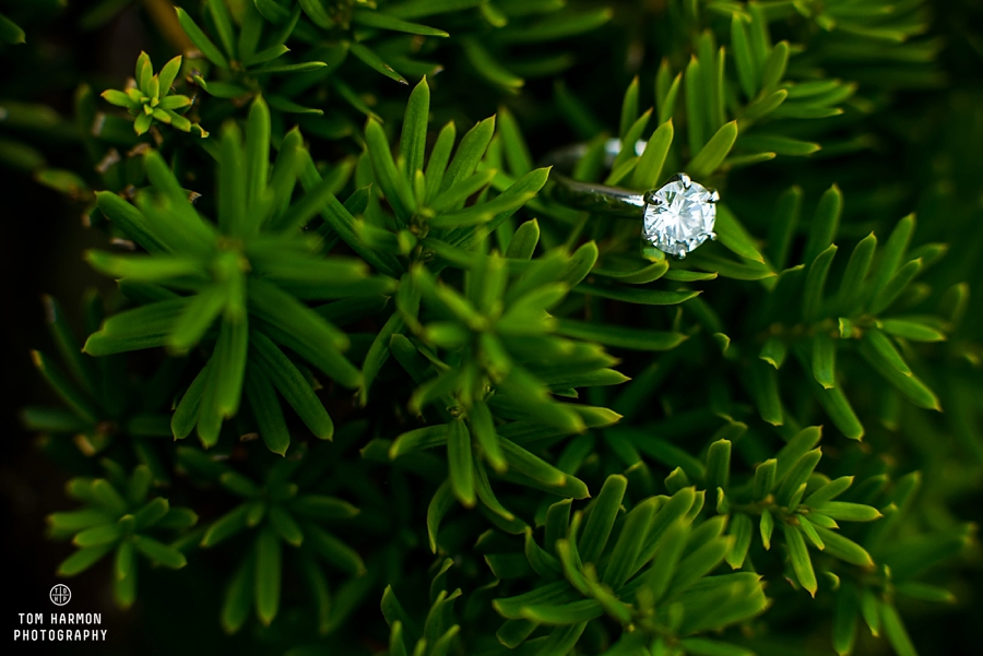 Skaneateles_Engagement_0019