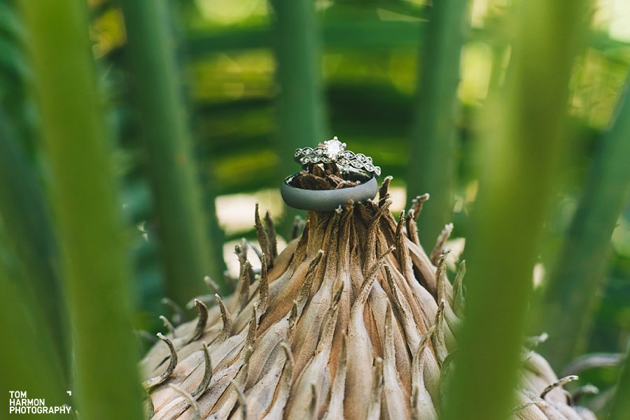 punta_cana_wedding_0003